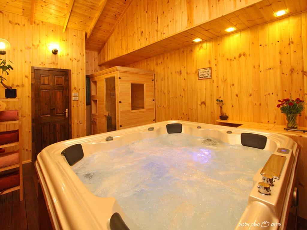 Suites & Spa Galilee Кирият Шмона Екстериор снимка